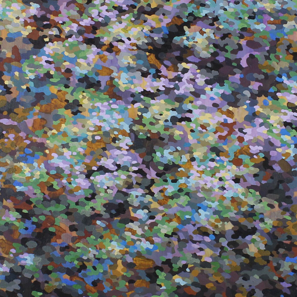 Disruption of Declination detail study 2