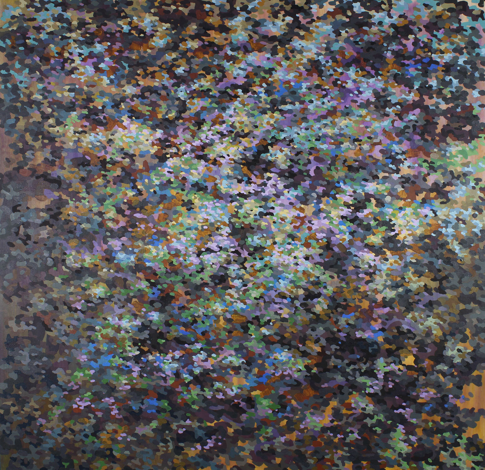 Disruption of Declination by Steve Baylis