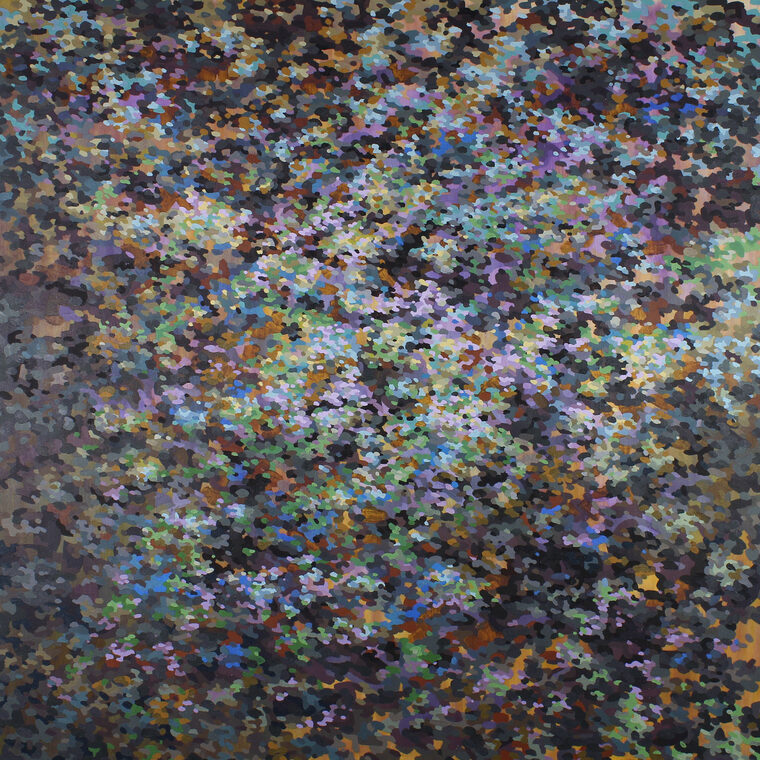 Disruption of Declination by Steve Baylis